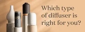 Which Type of Diffuser is Right for You?