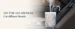 On-the-Go-Aromas: Car Diffuser Blends