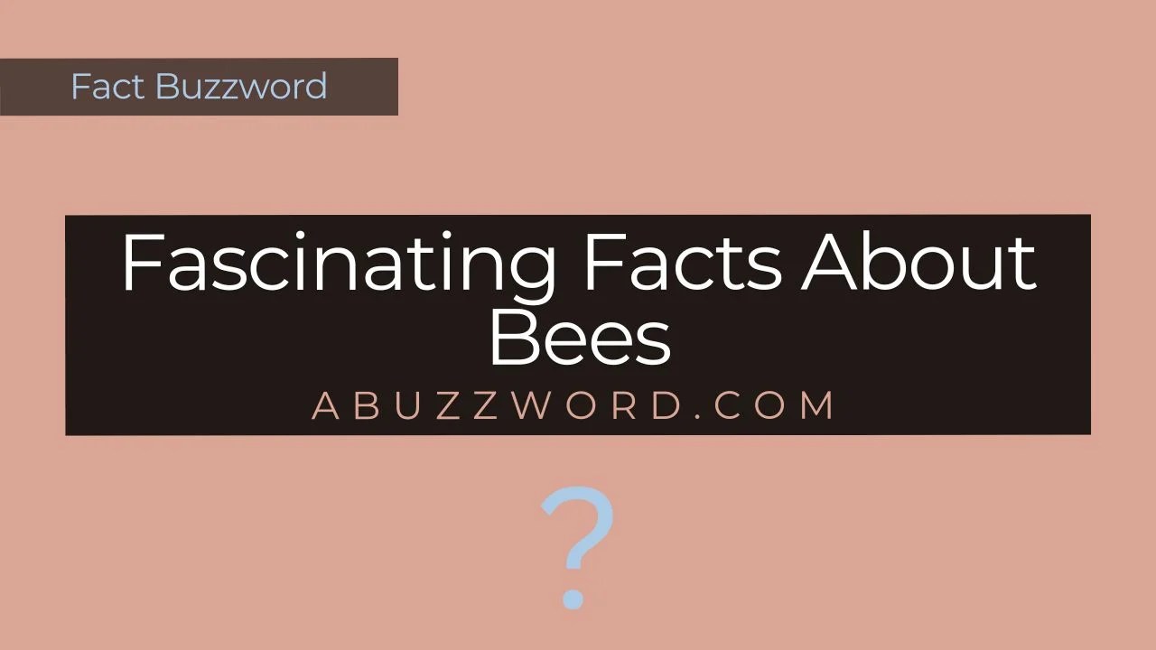 Fascinating Facts About Bees