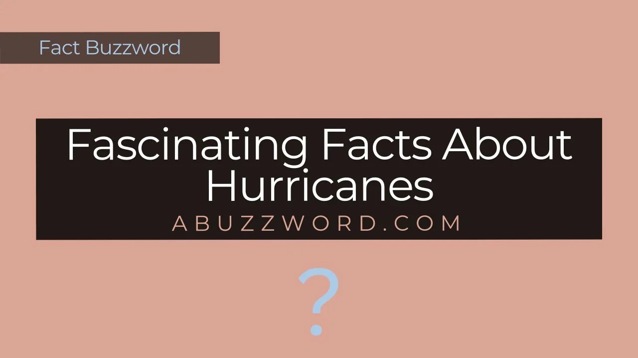 Fascinating Facts About Hurricanes