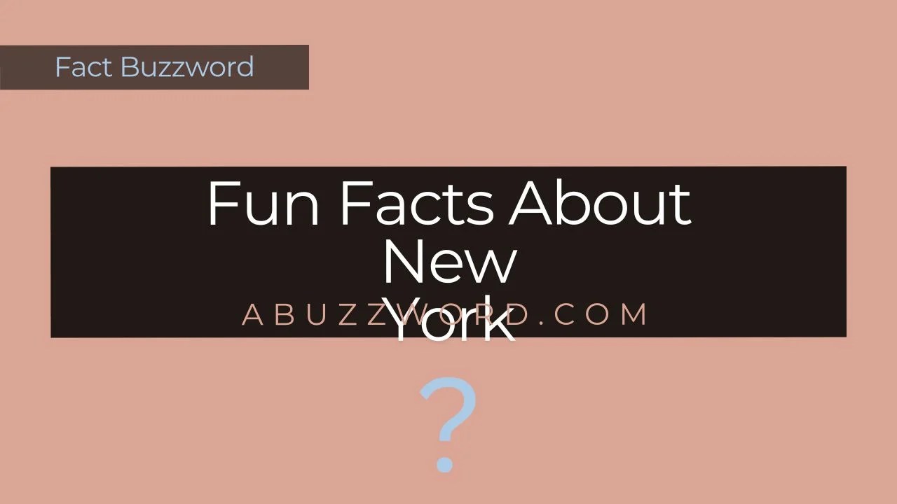 Fun Facts About New York