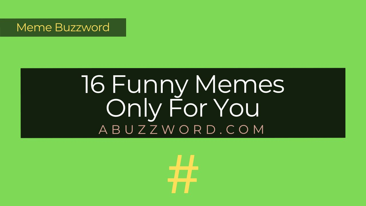 16 Funny Memes Only For You