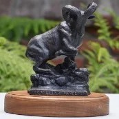 AC100 Ram Award