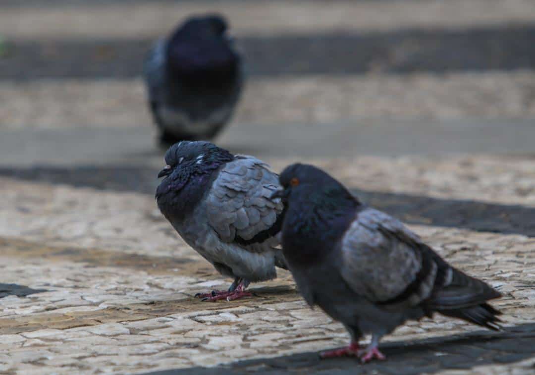 Foto: ac24horas.com/Sérgio Vale