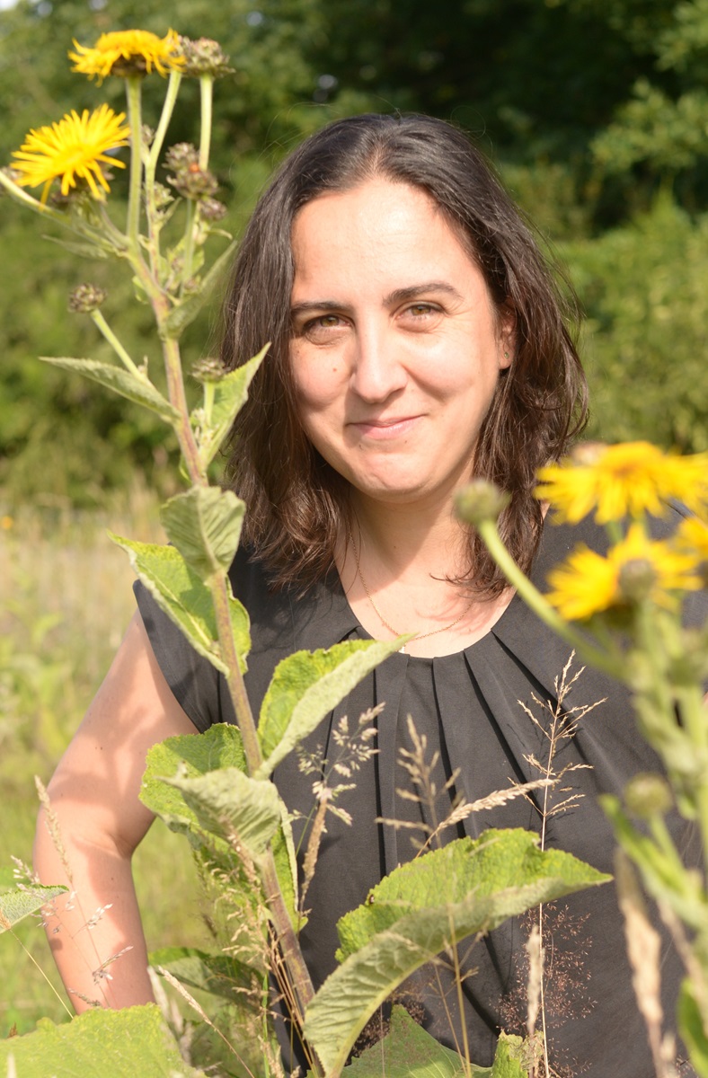 Céline d'A