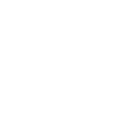 Gráfico de histograma (30.5)