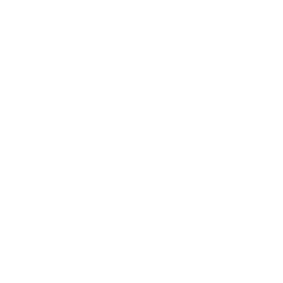 Como criar um GRÁFICO DINÂMICO do absoluto zero