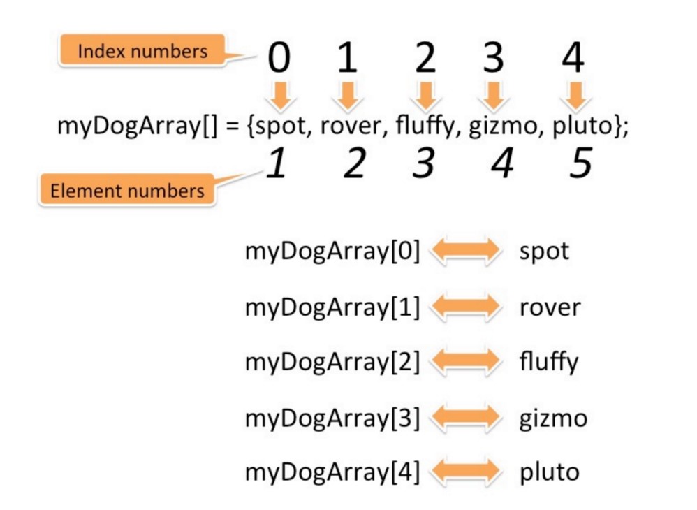 Array Explanation Demo