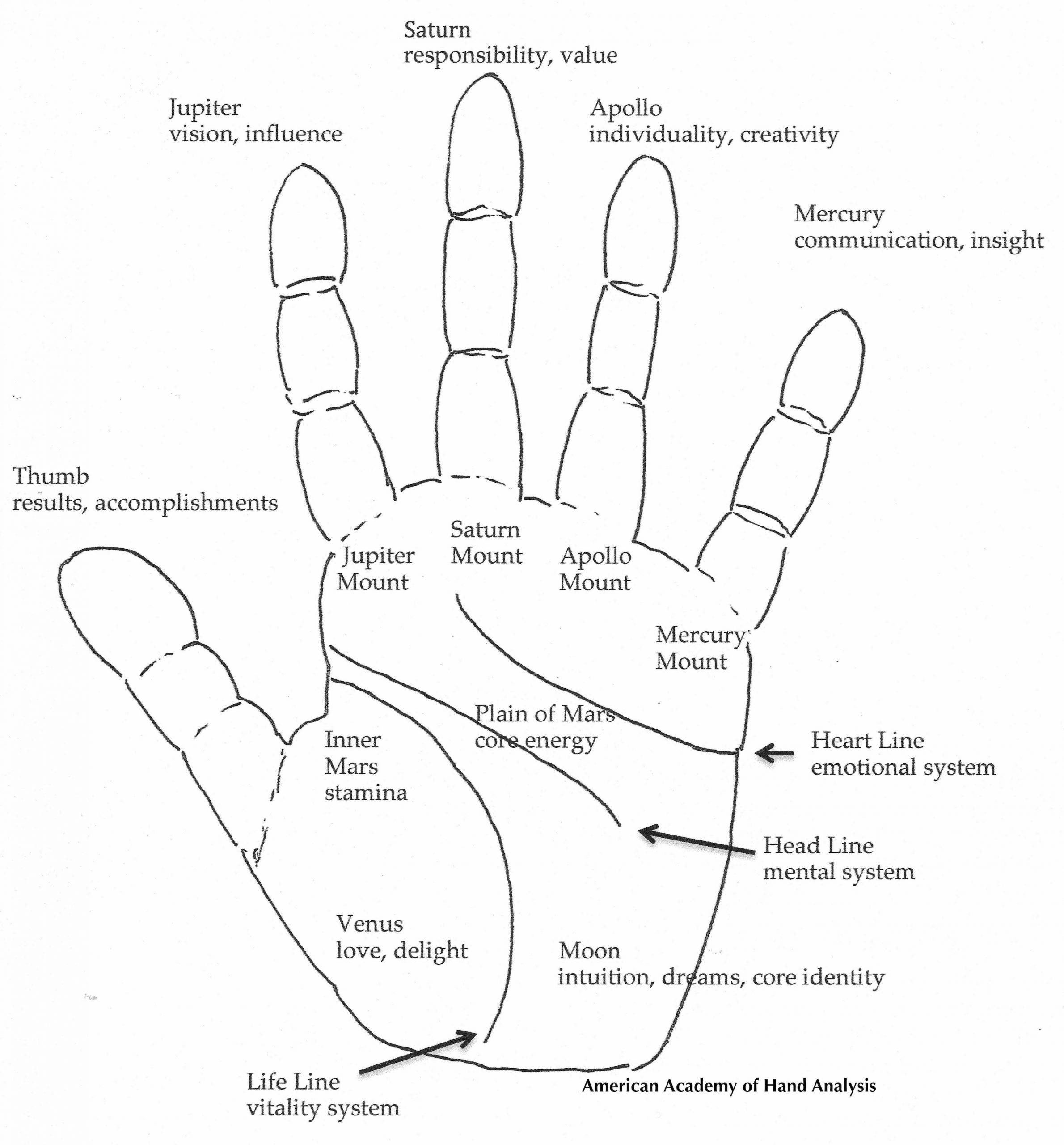 AAHA Basic Hand Map American Academy Of Hand Analysis Fig 1 Basic Hand Map Small 1 Scaled 