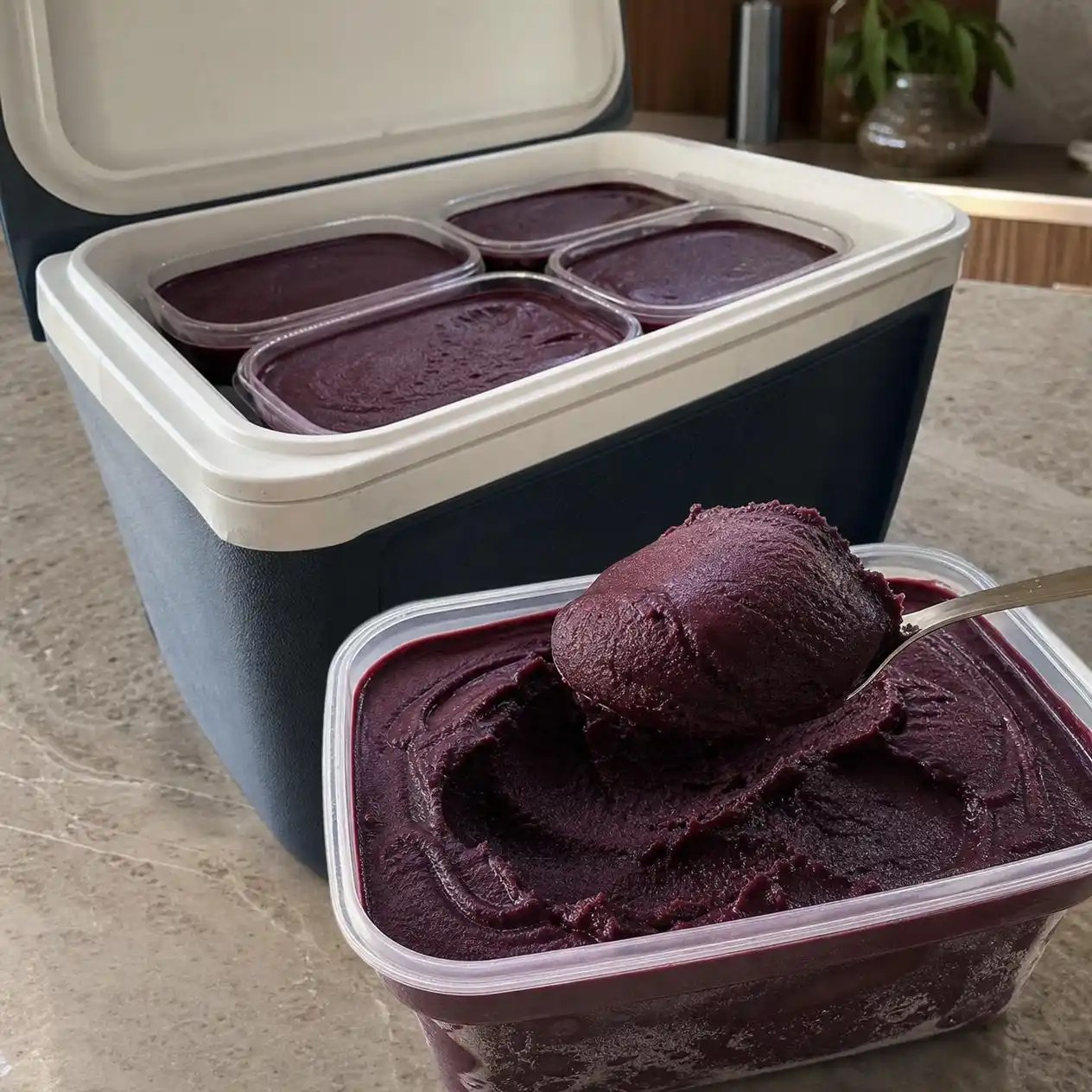 Açaí por Assinatura