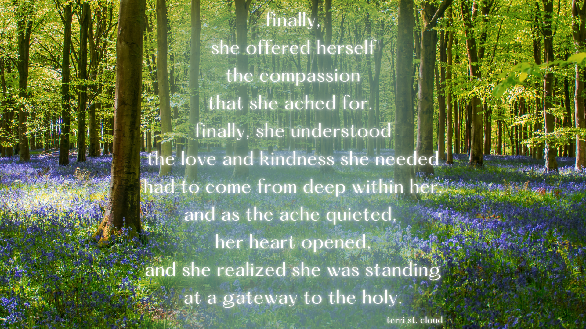 A photograph of a bluebell wood in Wiltshire, overlaid with a quote: finally, she offered herself the compassion that she ached for. finally, she understood the love and kindness she needed had to come from deep within her. and as the ache quieted, her heart opened, and she realized she was standing at a gateway to the holy. terri st. cloud
