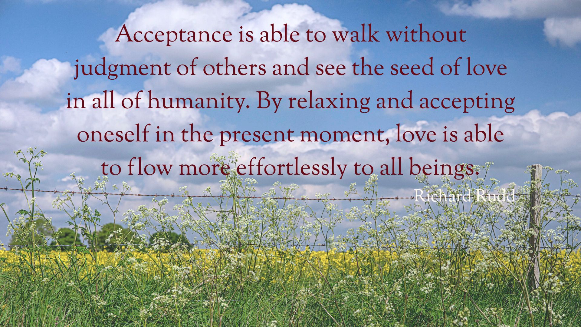 A photograph of a canola field through a fence, with wildflowers in front of it. The blue sky is full of fluffy white clouds. There is a quote from Richard Rudd: Acceptance is able to walk without judgment of others and see the seed of love in all of humanity. By relaxing and accepting oneself in the present moment, love is able to flow more effortlessly to all beings.