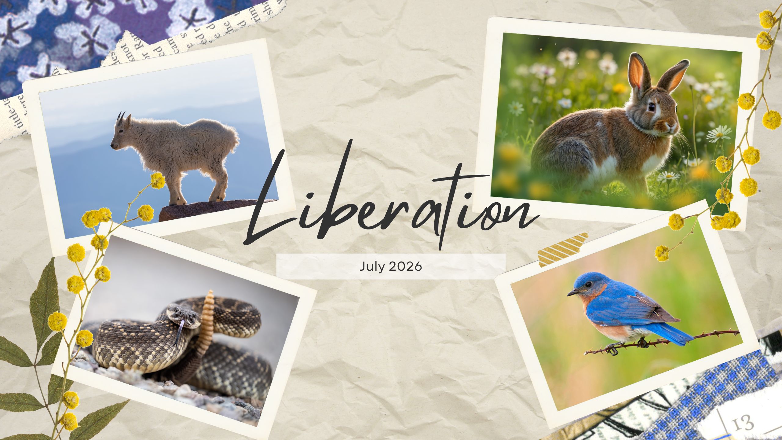 Bite-Sized Bravery: Liberation