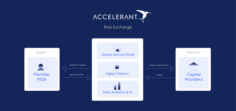 Overview Accelerant Risk Exchange - Landscape Design Collection - High Resolution Quality