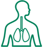 Topics include the endocrine, cardiovascular . Anatomy And Physiology Ii Accelerated Sciences