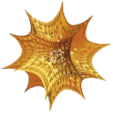 Math Competitions icon