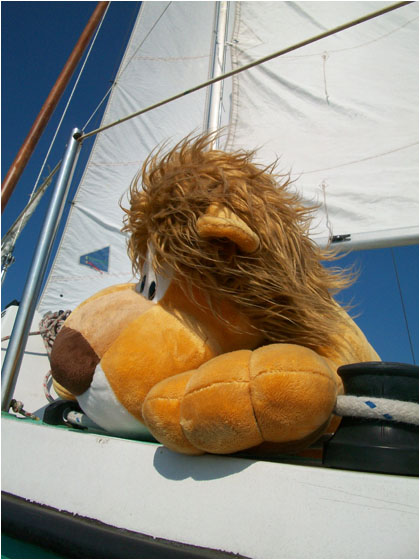 Alex Goes Sailing Fish