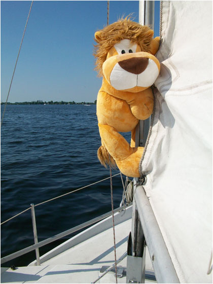 Alex Goes Sailing Hello