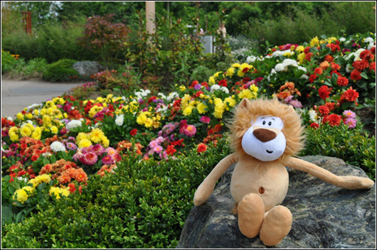 Alex at Floriade 2