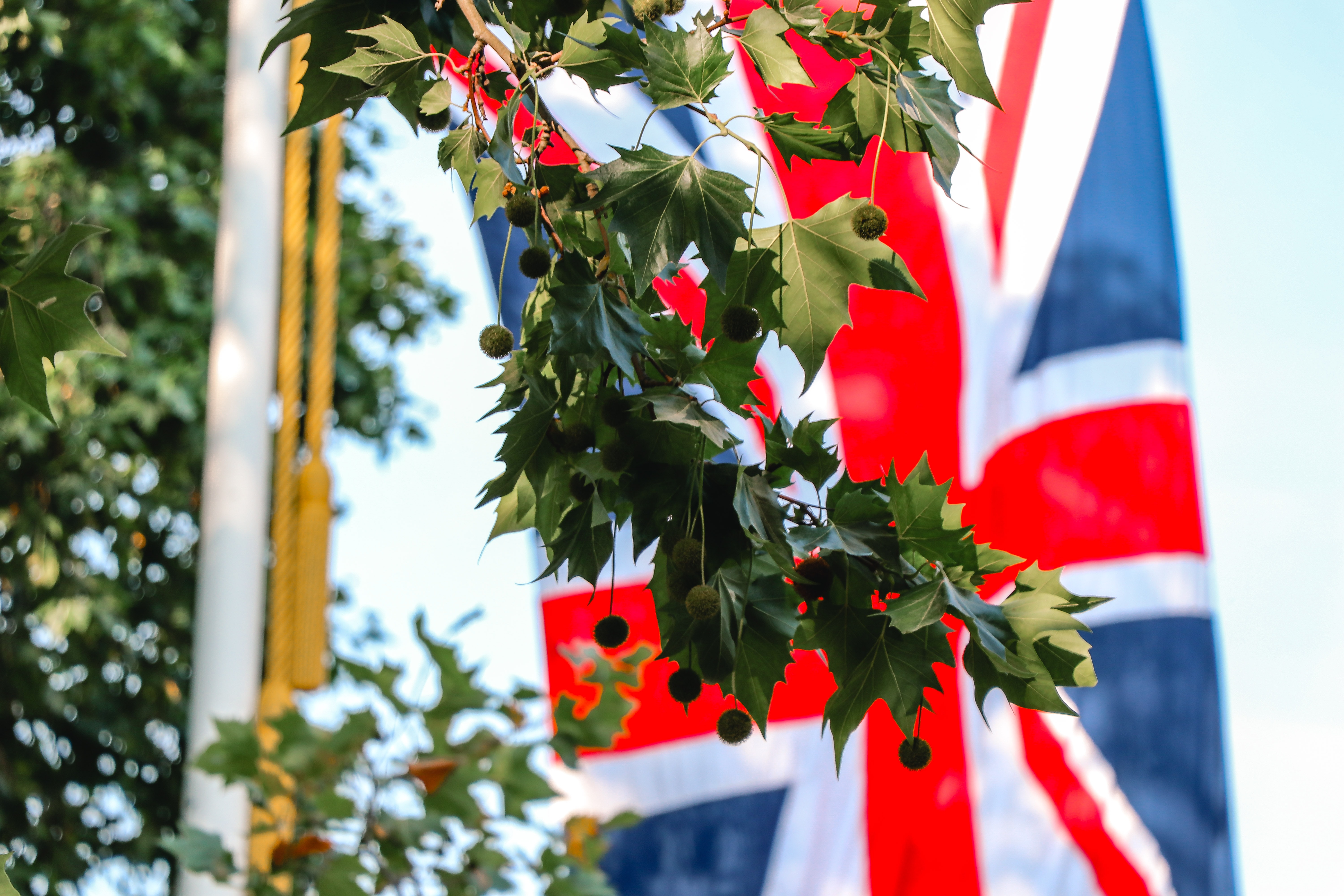 Why study in the UK?