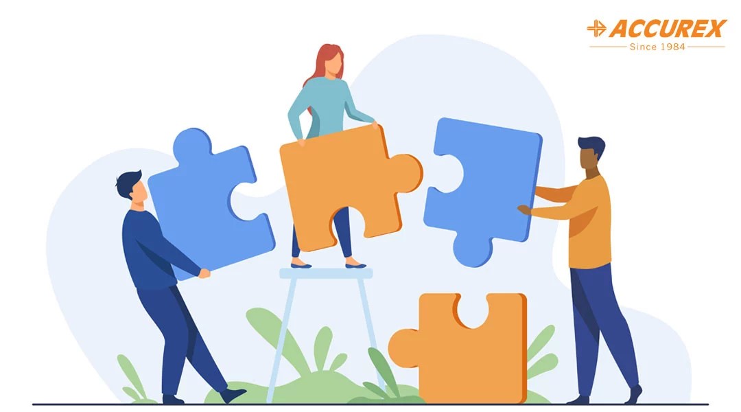 Accurex Culture: Backbone Of Successful Organization