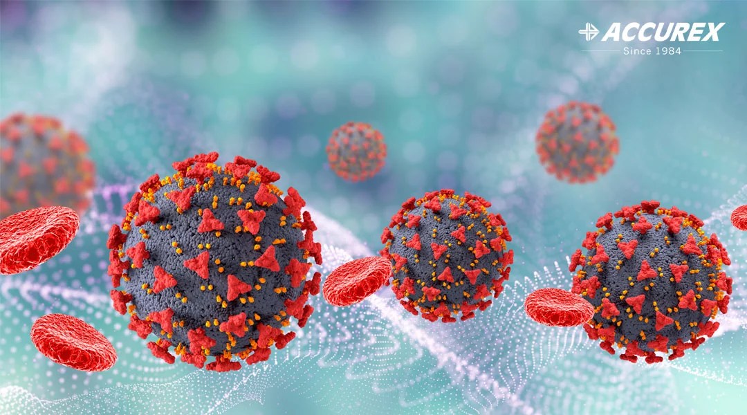 Omicron – Covid-19 new variant: Everything you need to know about