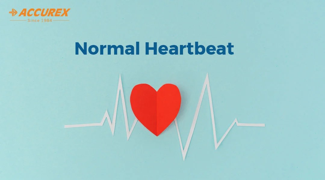 Normal heartbeat