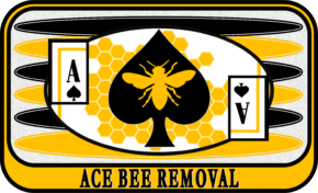 Ace Bee Removal
