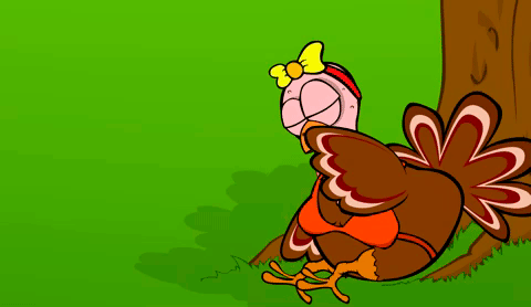 Gifs De Pavos 73 Imagenes Animadas De Estas Aves