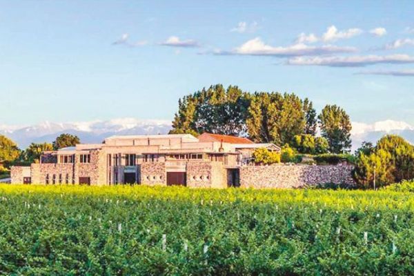 Distinción internacional para Bianchi Particular Malbec 2018