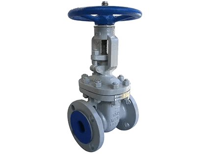 Válvula Gaveta Classe 150