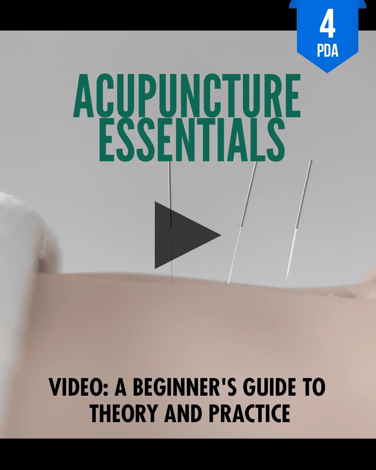 Acupuncture Essentials A Beginner S Guide To Theory And Practice Nc