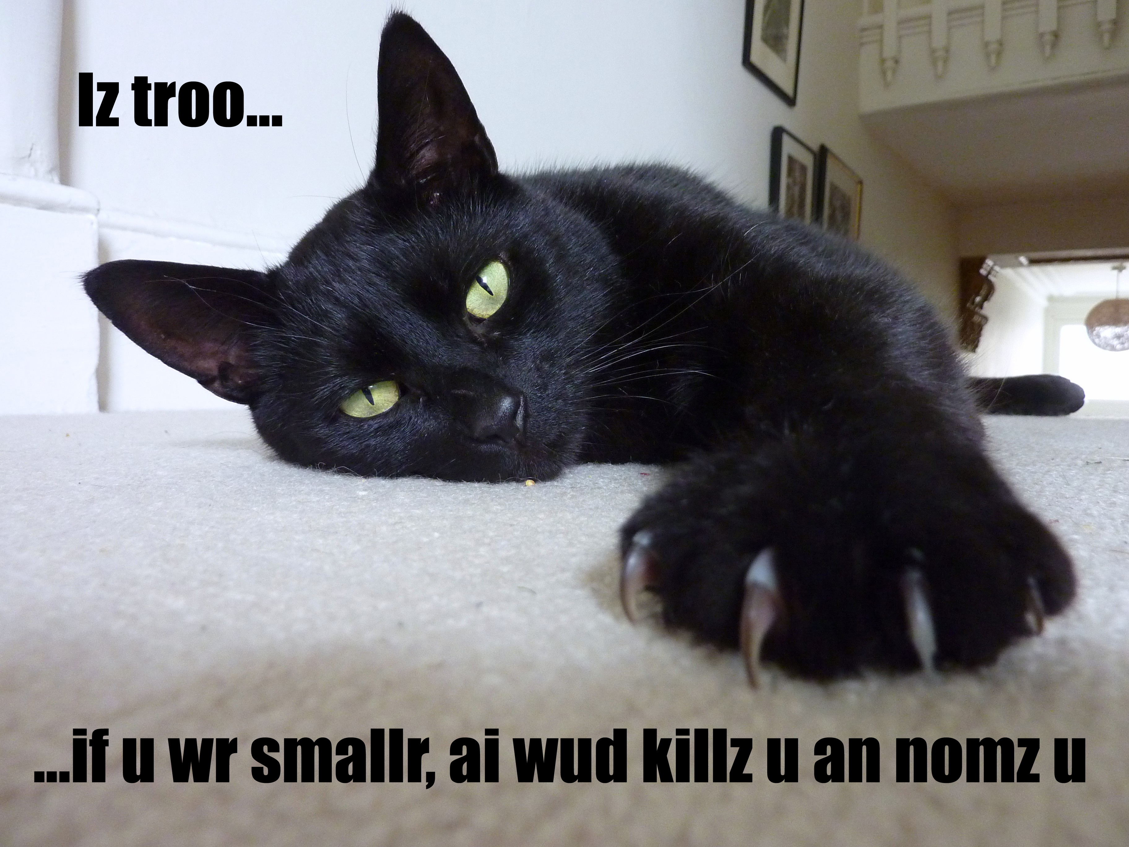 Ambient Sunday: Yuriko Imaoka – Warm, Soft