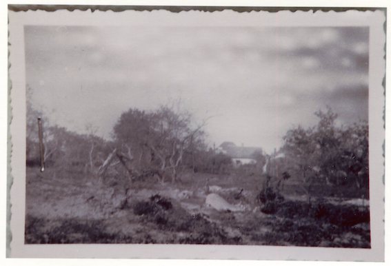 04 Route nationale champ du parc