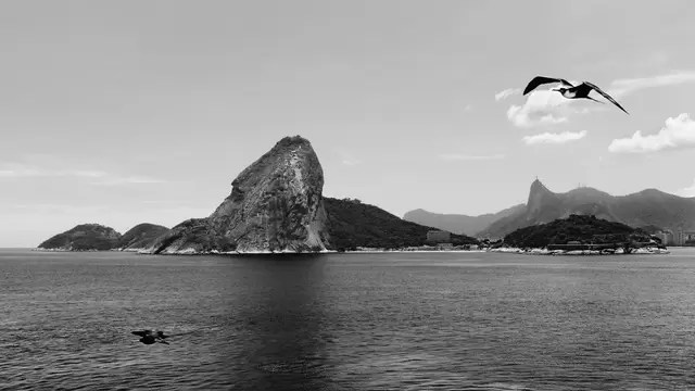 Petrópolis recebe exposição em homenagem ao Dia da Fotografia