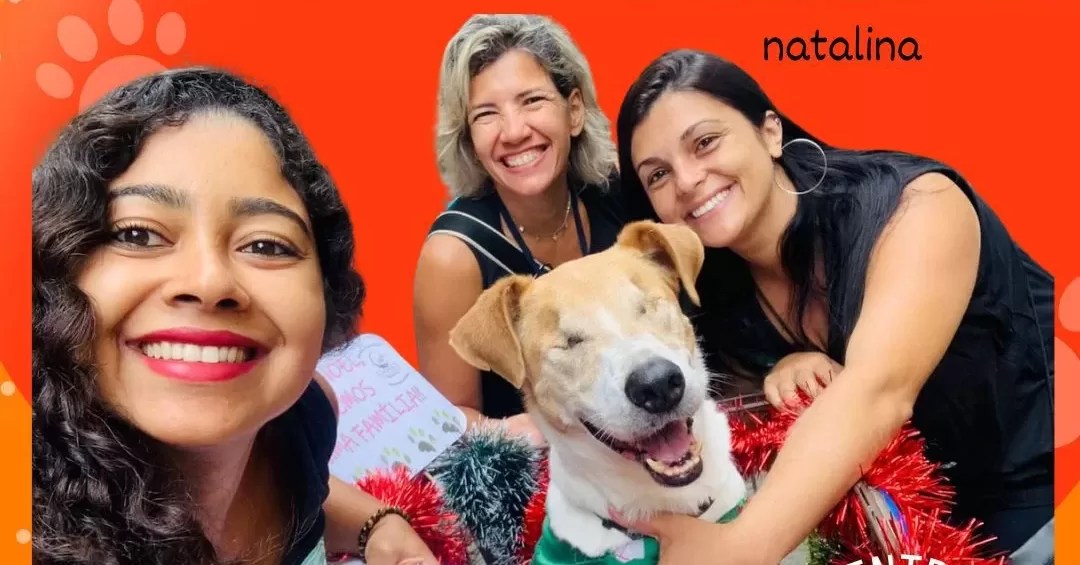 VI CÃOMINHADA de Natal acontece em Petrópolis neste domingo (15)