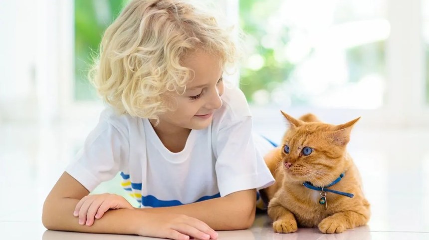 Claves para Adoptar una Mascota