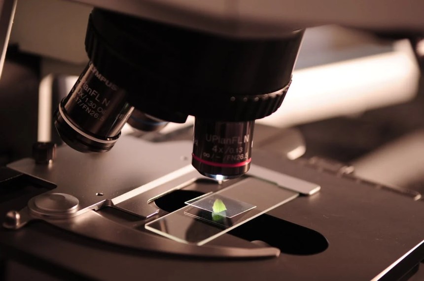 El año 2024 ha sido testigo de avances científicos que desafían nuestra comprensión del universo y la naturaleza. Desde el hallazgo del núcleo de antimateria más pesado hasta la revolución en la predicción del plegamiento de proteínas mediante inteligencia artificial, estos descubrimientos están redefiniendo el conocimiento humano. A continuación, exploramos los cuatro hallazgos más asombrosos del año.