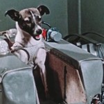 Los 10 Perros y Gatos Más Famosos de la Historia: Mascotas Que Dejaron Huella en el Corazón del Mundo