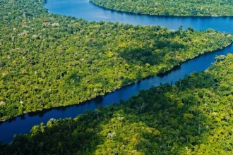 ¿Sabías que el Amazonas es el río más largo del mundo? 10 razones que lo confirman