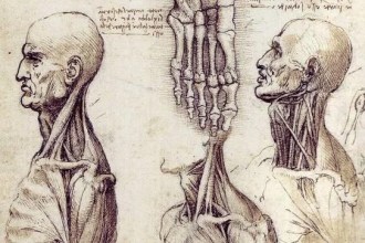 Top 10 Momentos Clave en la Historia de la Medicina y las Primeras Disecciones Humanas