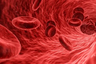¿Qué son las plaquetas? Descubre las 10 funciones vitales que cumplen en tu salud