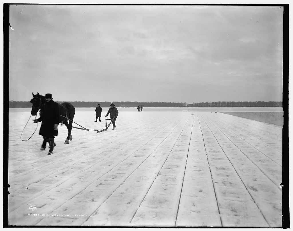 Ice Harvest A Continuous Lean.