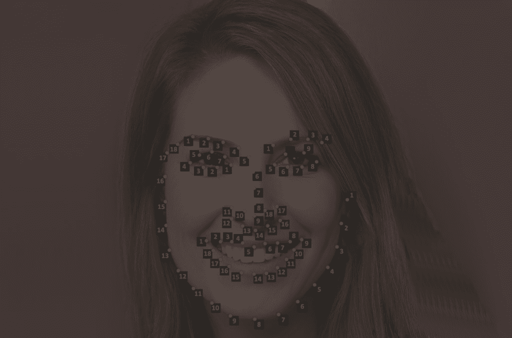 Landmark Annotation AcoteBPO