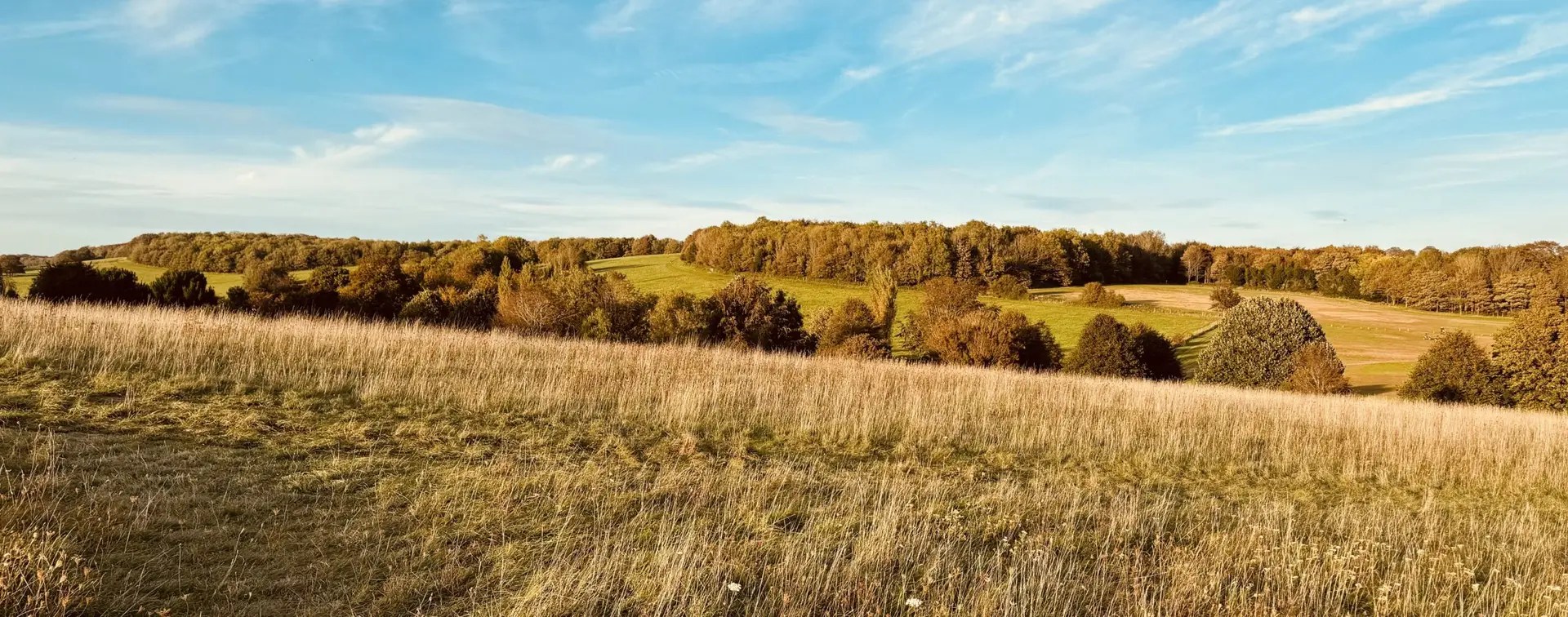 English grassland and woodland landscape illustrating habitats relevant to biodiversity net gain case studies and before/after portfolio examples.
