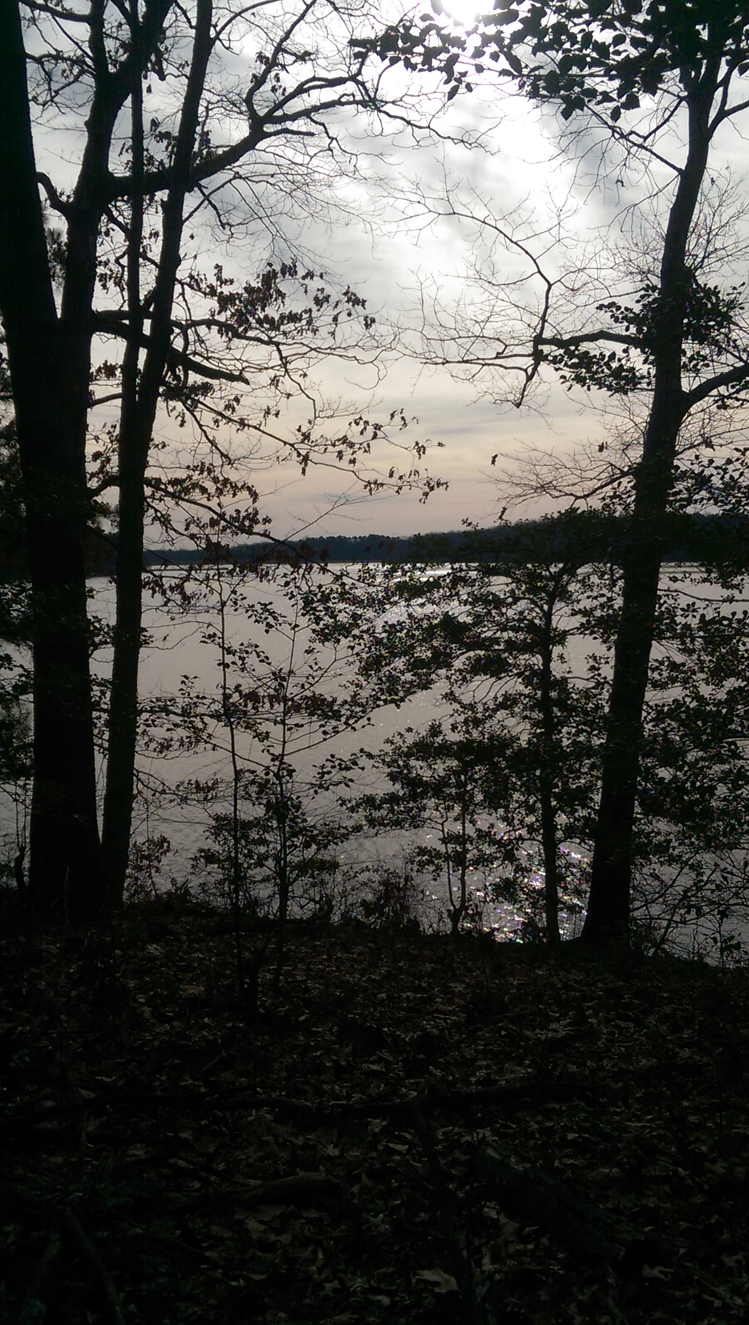 IMAG0166