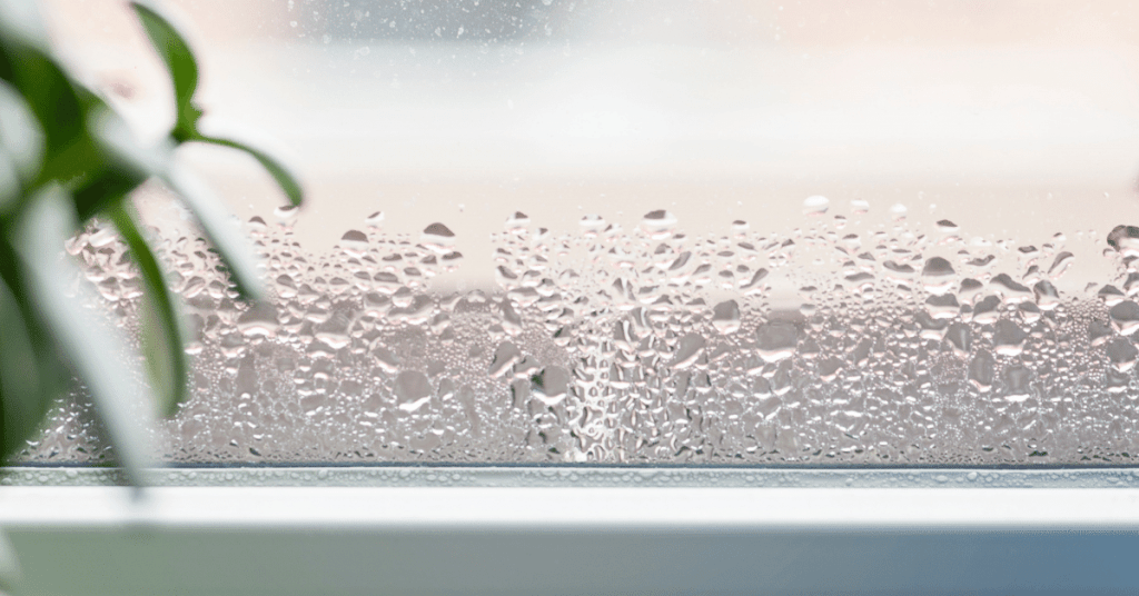 condensation on the inside of a house window