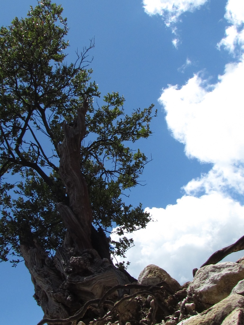 planet earth is so damn beautiful