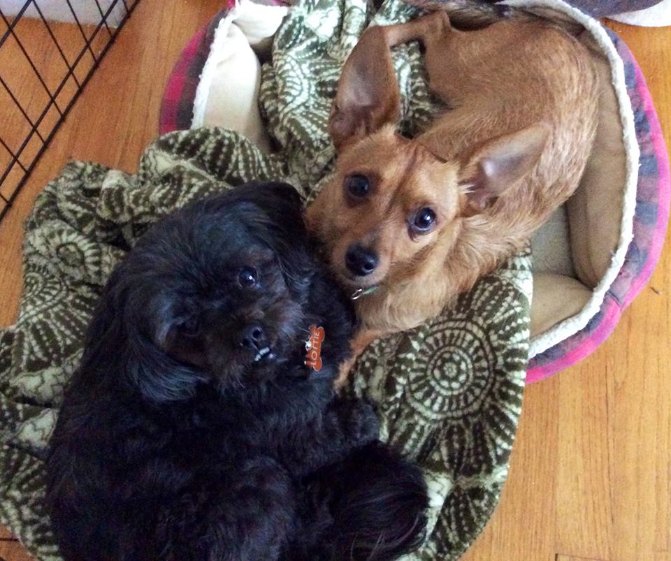Lottie & Rupert