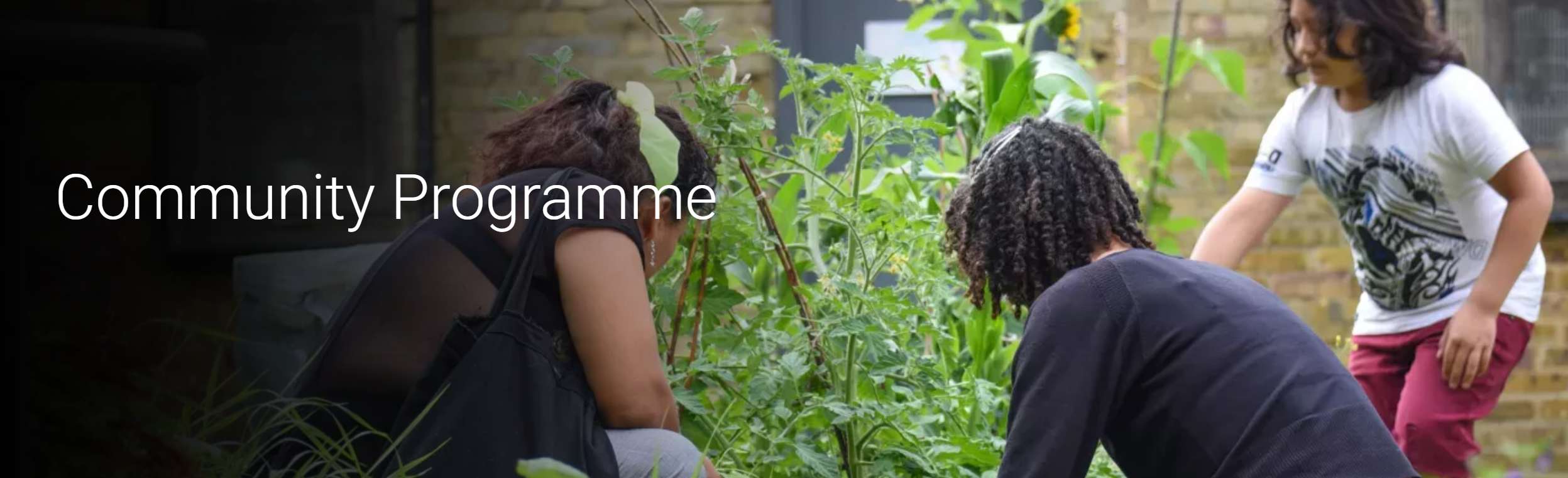 Grow Wild Community Programme